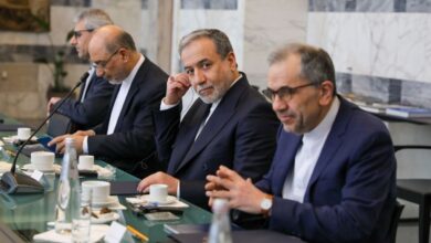عراقچی: موفق شدیم درخصوص یک سری اصول و اهداف به یک تفاهم بهتری برسیم