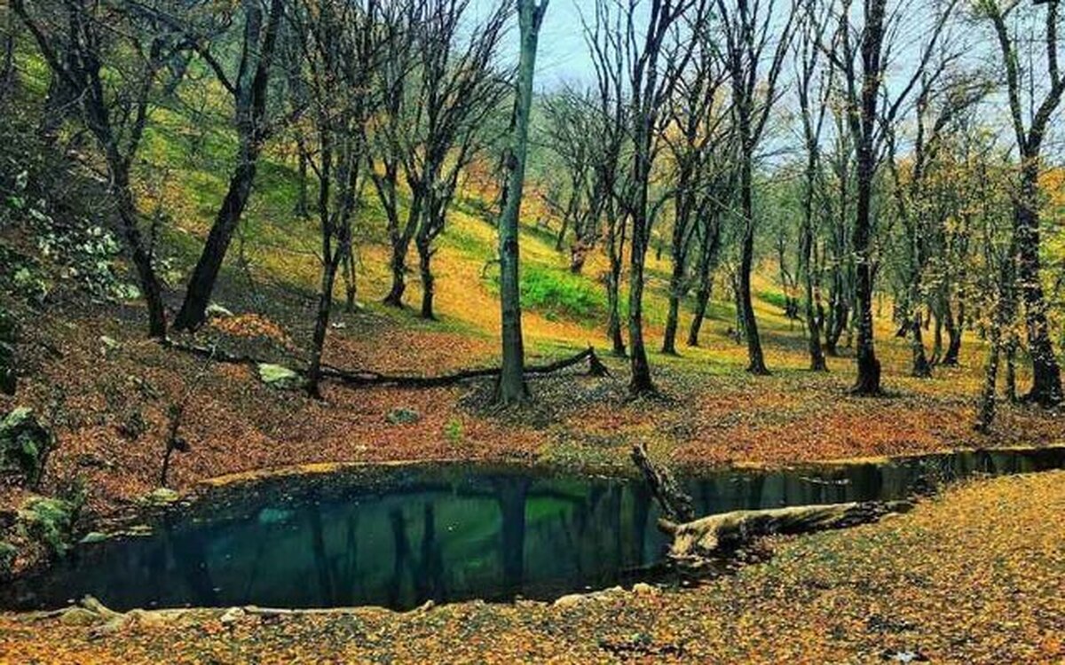 شهادت محیطبانان پارک ملی گلستان تایید شد
