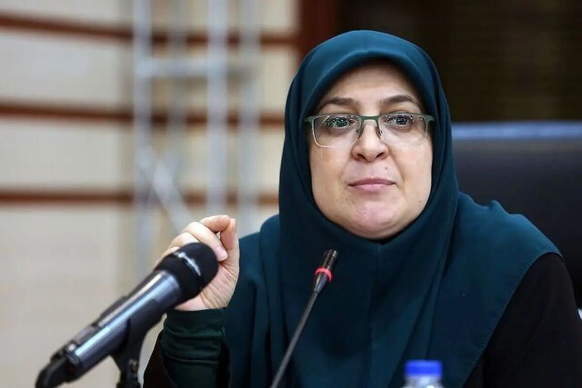 مهاجرانی: دولت ایران همواره نفی خشونت و ترور در تمام اشکال آن بوده و خواهد بود