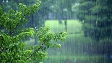 هواشناسی کشور 14 اردیبهشت؛ وقوع گرد و خاک در برخی استان‌ها