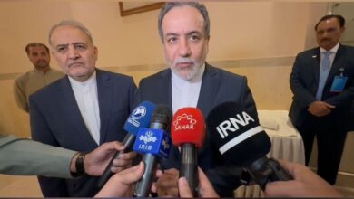 عراقچی: روابط با کشور‌های منطقه از جمله پاکستان و هند برای ما بسیار مهم است