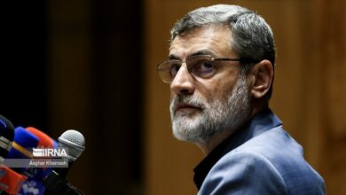 قاضی زاده هاشمی: ناترازی چیز جدیدی نیست، نیاز به سرمایه‌گذاری داخلی و خارجی داریم