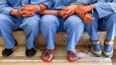 دستگیری ۸ سرشاخه اصلی یک شرکت هرمی با ۱۷ هزار عضو