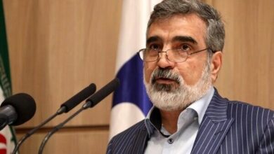 کمالوندی: ایران تنها کشوری نیست که غنی‌سازی می‌کند و در عین حال سلاح هسته‌ای ندارد