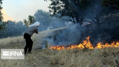 مهار آتش سوزی در مانشت زاگرس