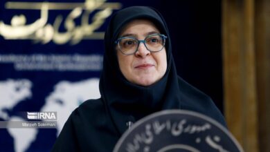 سخنگوی دولت: کنترل تورم اولویت اقتصادی دولت است؛ توضیحات درباره همکاری اقتصادی بابک زنجانی با دولت