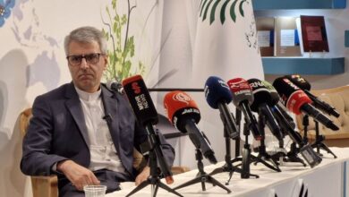 بقائی: توقف برنامه هسته‌ای ایران اساسا در مذاکرات مطرح نیست