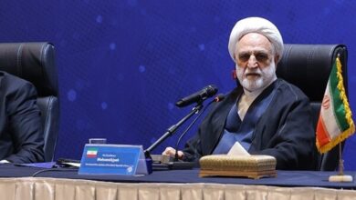 اژه ای: دولت برای رفع ناترازی‌ها اقداماتی را در دستور کار دارد
