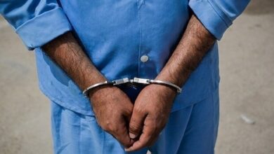 زمینگیر شدن شرور سارق سابقهدار در محمودآباد