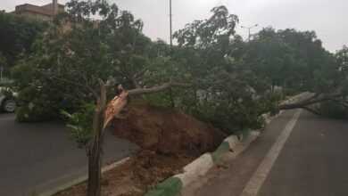 مصدومیت ۶ نفر در پی طوفان امروز تهران