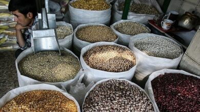 لوبیا چینی نیم‌میلیونی واقعیت دارد؟