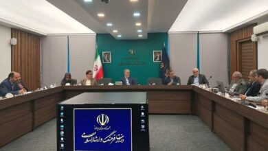 وزیر فرهنگ: سند هنر‌های تجسمی سیاست‌های اجرایی هر حوزه را تعیین کند