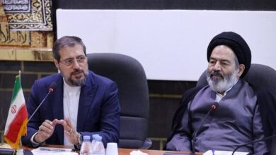 گزارش رئیس سازمان حج و زیارت از آخرین وضعیت عملیات حج؛ فوت ۶ زائر ایرانی در عربستان