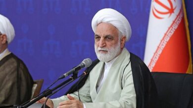 محسنی اژه ای: رسیدگی به پرونده قتل الهه حسین‌نژاد در نهایت دقت انجام شود