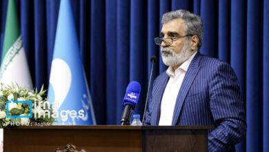 کمالوندی: در صورت تصویب قطعنامه، ایران در سطح همکاری با آژانس تجدیدنظر خواهدکرد