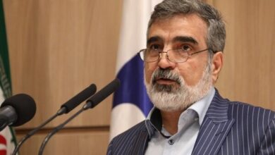 کمالوندی: غنی‌سازی به شکل چشمگیری افزایش خواهد یافت