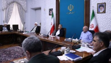 ماجرای تصمیم گیری سران قوا درباره واگذاری سهام ۲ شرکت خودروسازی چه بود؟