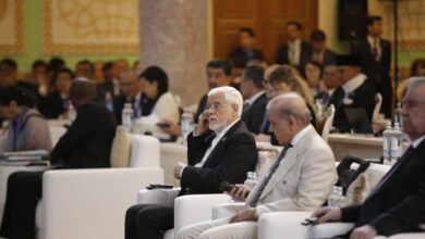 دیدار و گفت‌وگوی عارف با نخست‌وزیر پاکستان