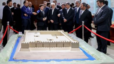 عارف: رابطه دو ملت ایران و تاجیکستان برادرانه است بهترین روابط سیاسی را داریم