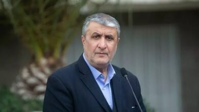اسلامی: اعتمادی به آژانس و بازرسی‌های آن نداریم
