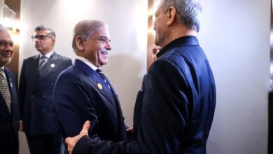 دیدار نخست‌وزیر پاکستان با پزشکیان (+عکس)