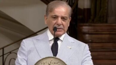 شهباز شریف محور‌های گفت‌وگوی خود با پزشکیان را تشریح کرد