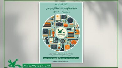 ثبت‌نام کارگاه‌های برخط تابستانه کانون پرورش فکری آغاز شد