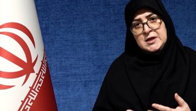 مهاجرانی: براساس منافع ملی درباره مذاکرات تصمیم میگیریم