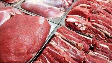 وزارت جهاد کشاورزی وعده کاهش گوشت تا ۹۰ هزار تومان می‌دهد