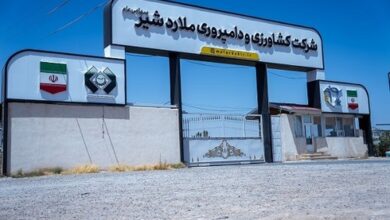 رشد چشمگیر ۱۰ درصدی تولید شیر خام در ملاردشیر