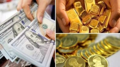 پیش بینی قیمت دلار، طلا و سکه سه شنبه 31 تیر 1404