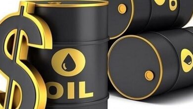 کاهش نوسانات در قیمت طلای سیاه