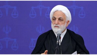 اژه ای: شکایات ایران از جنایات رژیم صهیونی در مجامع بین‌المللی ثبت شود