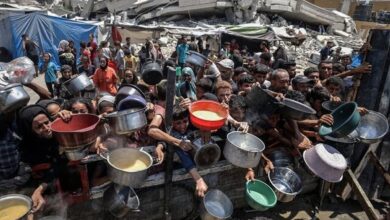 سازمان ملل: بیش از ۵۰۰ هزار نفر در غزه با خطر مرگ به خاطر گرسنگی مواجه هستند