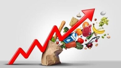 نقد یک فعال اقتصادی به دولتی شدن ساختارهای اقتصادی کشور