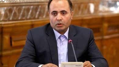 پشت پرده گرانی برنج از زبان وزیر کشاورزی