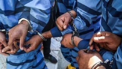 دستگیری ۱۰ نفر از عاملان نزاع مسلحانه در تربتحیدریه
