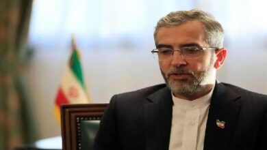 باقری: گروسی به ایران، انپیتی، آژانس و ارکان سازمان ملل خیانت کرد؛ ایران دستاندازی بیگانگان به منافع منطقه را نمیپذیرد