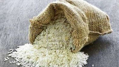 واکنش جهاد کشاورزی از شایعات فساد مالی تا علت قیمت برنج 300 هزار تومانی