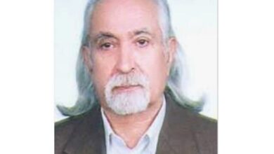 ابراهیم دیباجی درگذشت