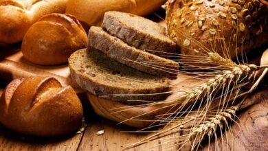 اختلاط گندم داخلی و وارداتی، کلیدی برای تحول در کیفیت آرد و نان کشور