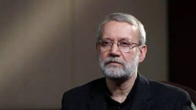 لاریجانی: با بسط همکاری میان ایران و کشور‌های منطقه موافقیم