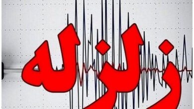 وقوع زلزله 4.1 ریشتر در شُنبه بوشهر