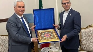 دیدار سفیر تاجیکستان در ایران با سخنگوی وزارت خارجه