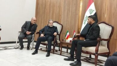 عراقچی وارد نجف شد