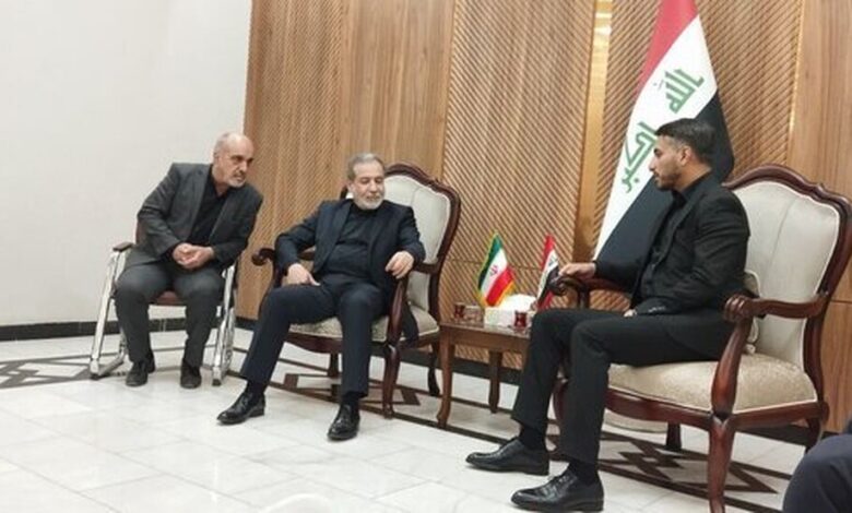 عراقچی وارد نجف شد