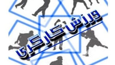 سرپرست هیات ورزش کارگری استان یزد منصوب شد