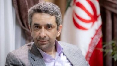 مهدی طباطبایی: دولت ظریف را کنار نگذاشت