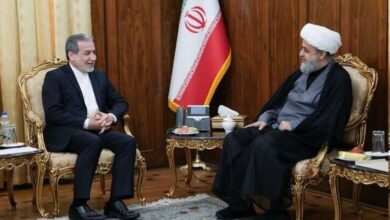 دبیرکل مجمع جهانی تقریب مذاهب اسلامی با عراقچی دیدار کرد
