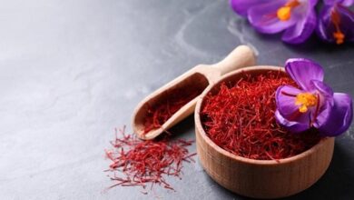 معمای عجیب تجارت طلای سرخ چرا زعفران ایرانی به نام افغانستان صادر میشود؟
